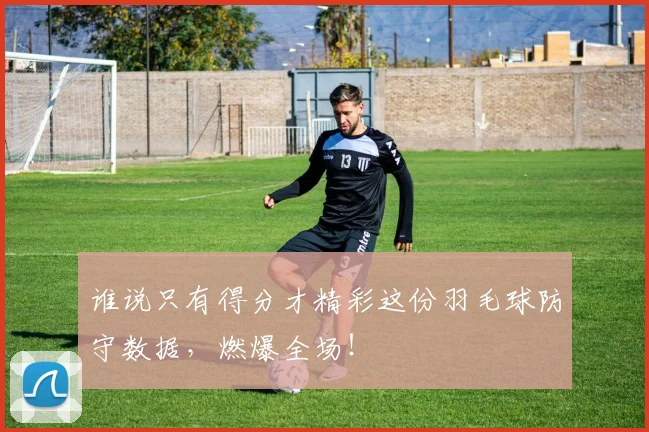 谁说只有得分才精彩这份羽毛球防守数据,燃爆全场!