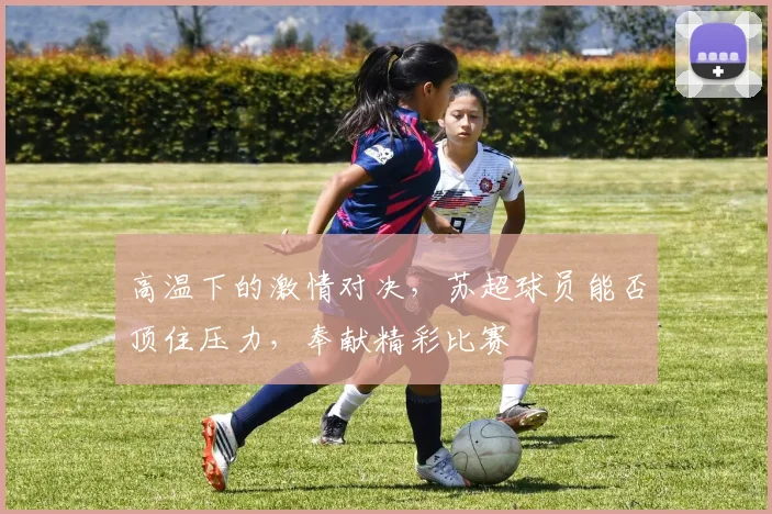 高温下的激情对决,苏超球员能否顶住压力,奉献精彩比赛
