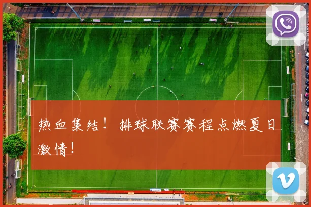 热血集结！排球联赛赛程点燃夏日激情！