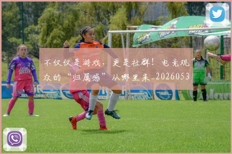 不仅仅是游戏，更是社群！电竞观众的“归属感”从哪里来_20260531151156